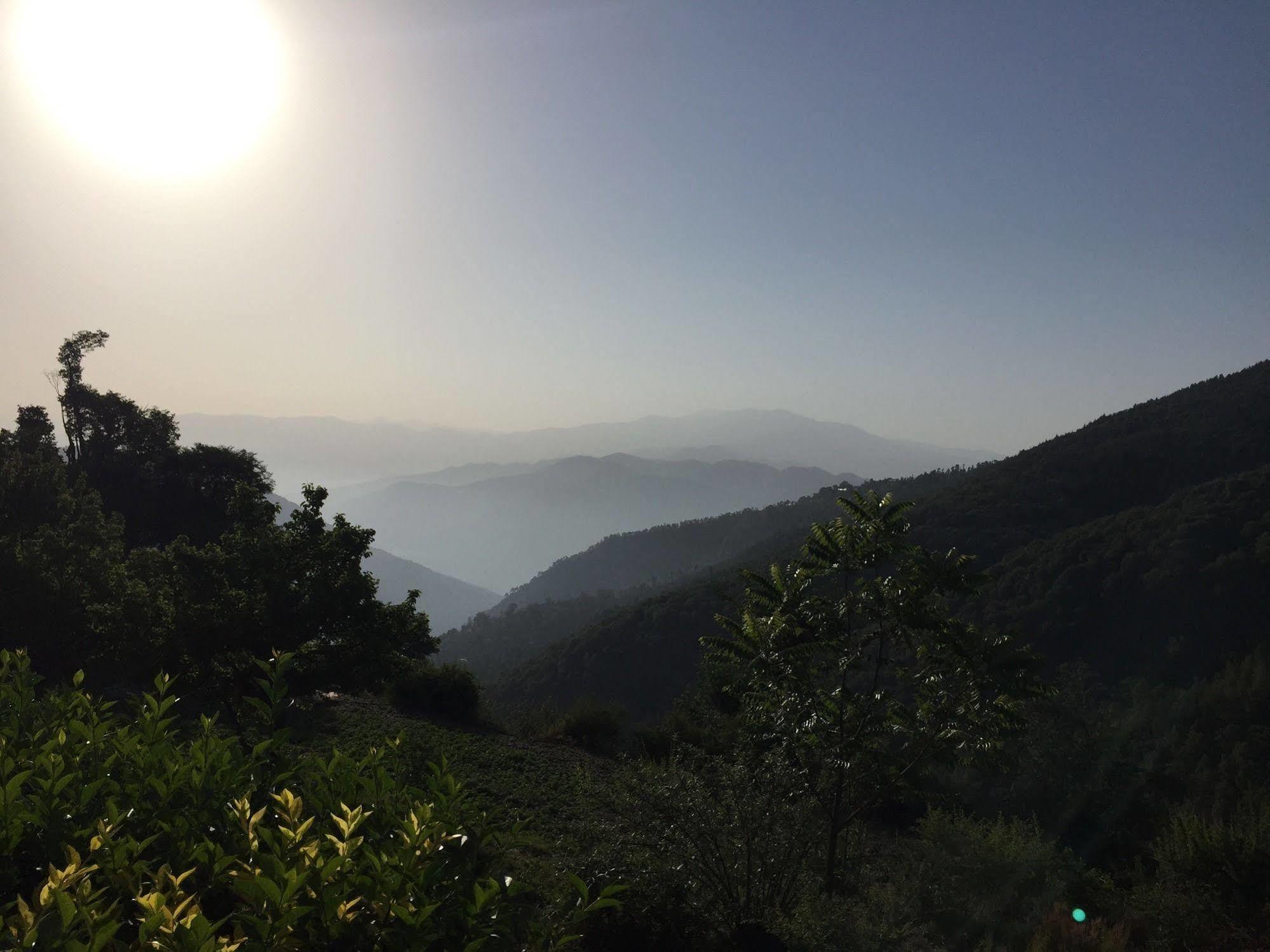 Natureraga Fernhill Resort Chail Extérieur photo
